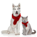 Pet Cat Dog Hat Headwear Scarf